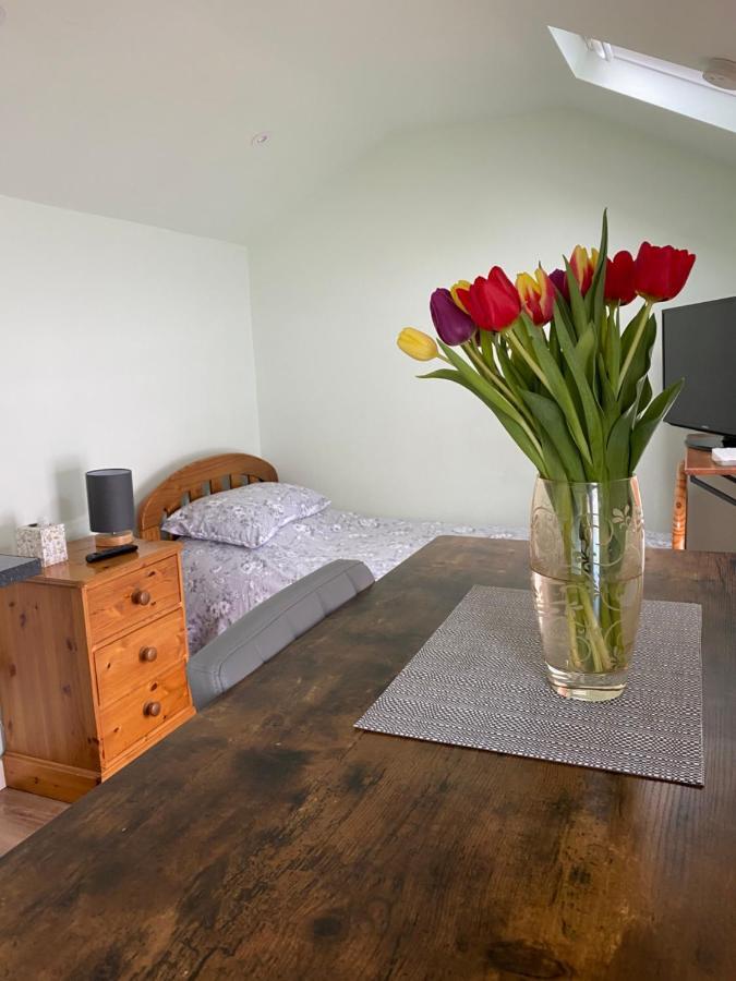 Апартаменты Cosy 1 Bed Garden Annexe Колчестер Экстерьер фото